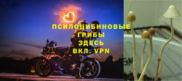 а пвп мука Алексеевка